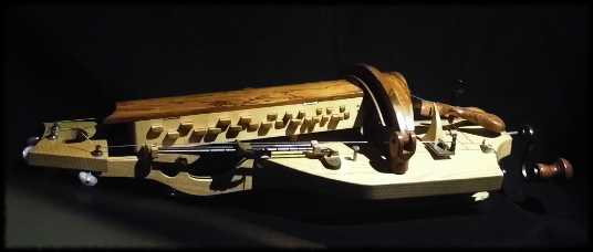 vielle à roue motus