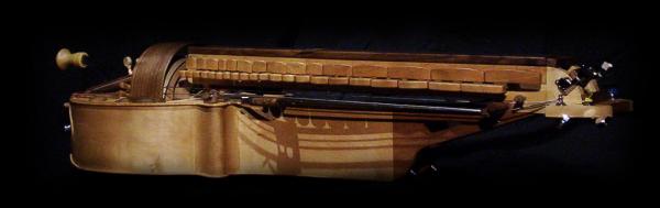 vielle à roue tenor albus draco PT-17